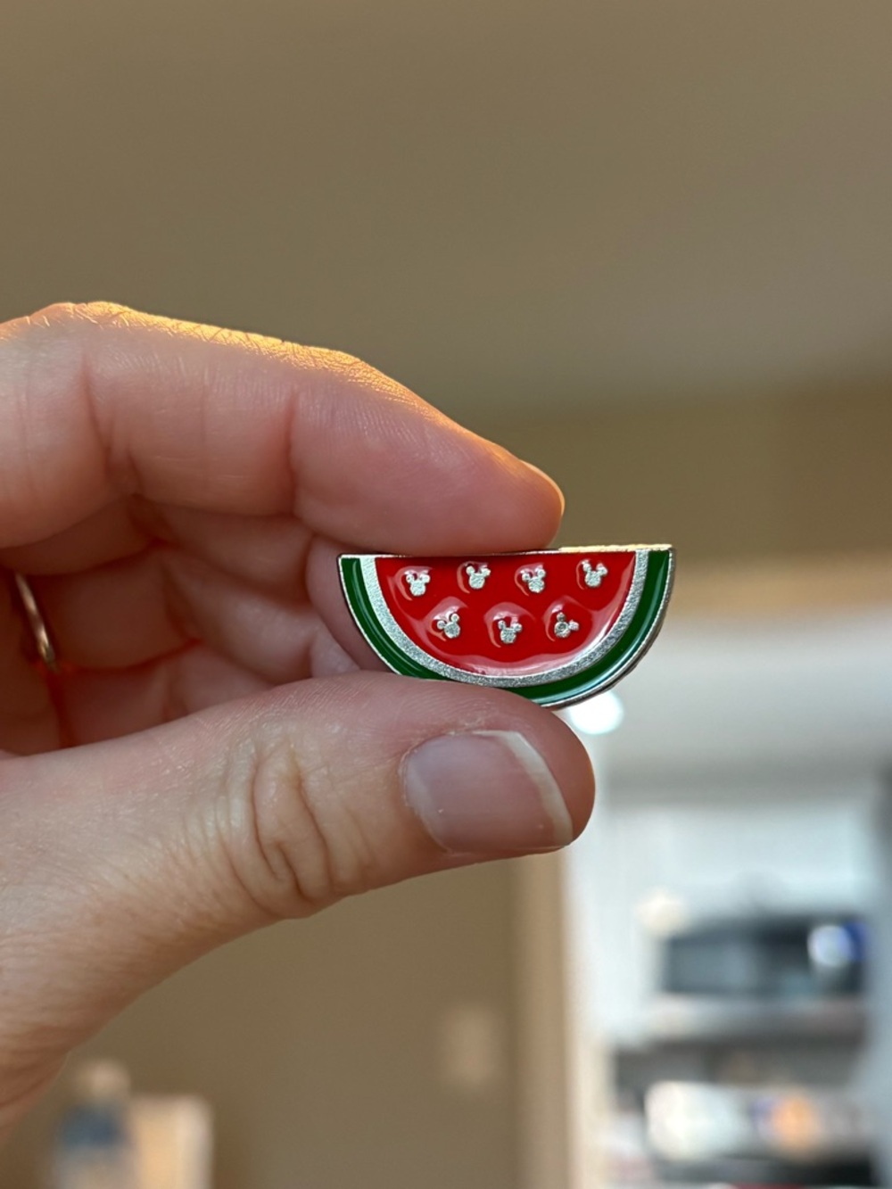 Disney Trading Pin Hidden Mickey Watermelon Slice